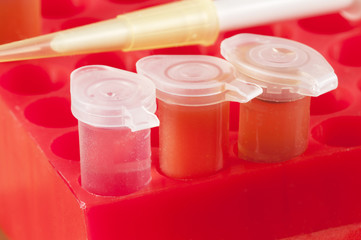 Test tubes with different colored chemicals in a plastic support