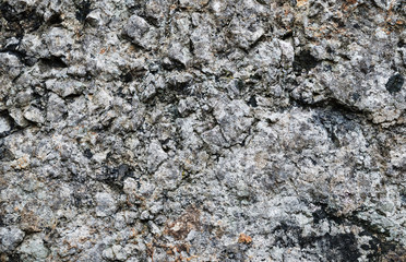 Texture of weathered stone