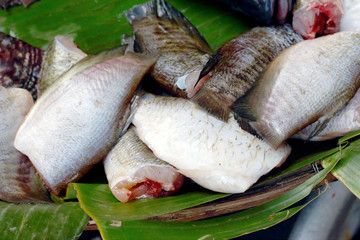 Fresh fish in the market.