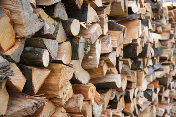 Dry firewood in a pile for furnace kindling