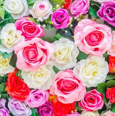Flowers background