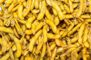 Boiled soy beans was sale in Thailand street market