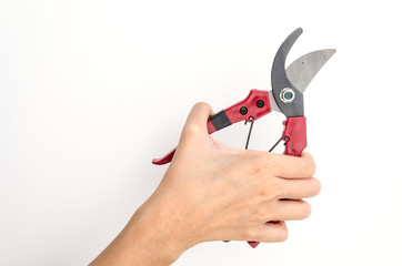Isolated garden shears