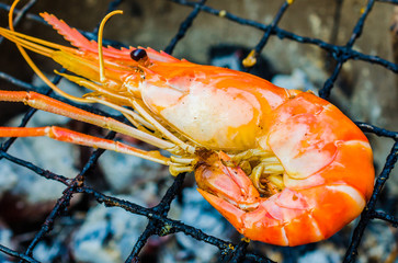 Grilled bbq shrimp
