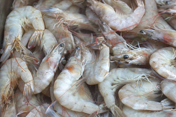 Fresh shrimp in market