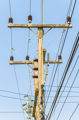 Electric post