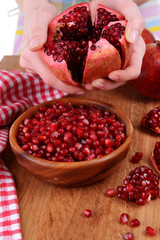 Female hands collecting seeds of  pomegranate close-up