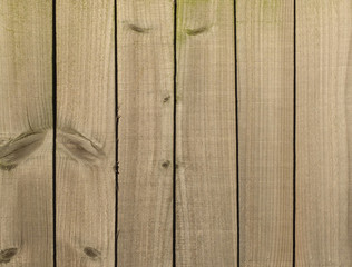 Background wood panel fence