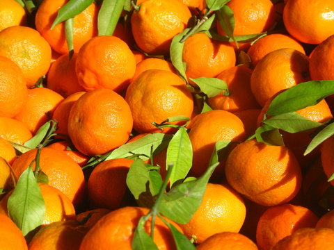 Mandarinas