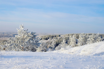 Winter landscape