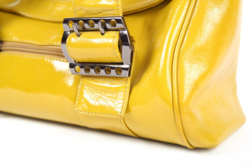 Naklejka premium Buckle of a women bag