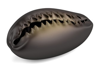 realistic 3d render of shell
