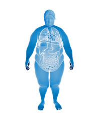 Overweight Female with interior organs