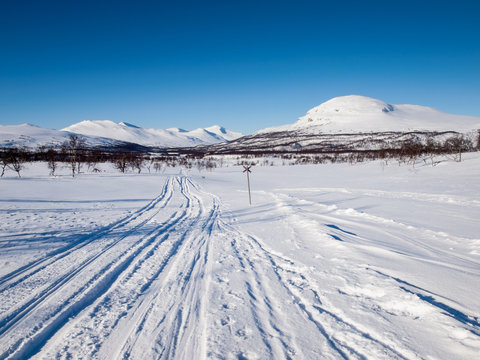 ski tracks in nordic winter landscape