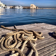 Fototapeta premium Molo di Trani