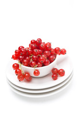 Red currants in a bowl isolated on white background