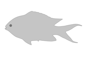 cartoon image of tropical fish