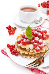 waffles with red currant, sprinkled powdered sugar for breakfast