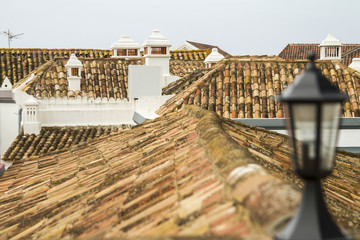 architecture of the rooftops in Portugal, Europe.