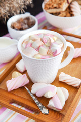 Cup of hot cocoa with marshmallows