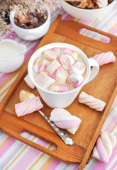 Cup of hot cocoa with marshmallows