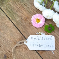 Glücksklee mit Gänseblümchen und Schild