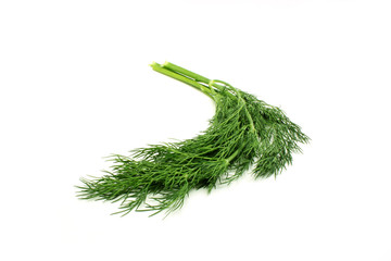 Fresh dill