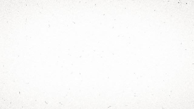 Vintage retro vignette noise HD video