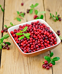 Lingonberry ripe in bowl on board