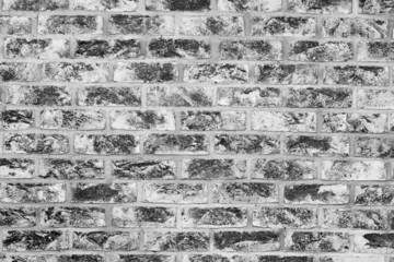 Old grunge brick wall background. Black and white