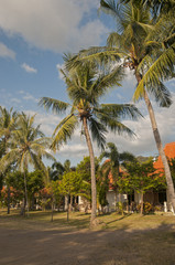 Obraz premium The beauty of Java