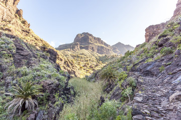 Masca valley, in Tenerife