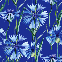 Cornflowers Seamless Pattern