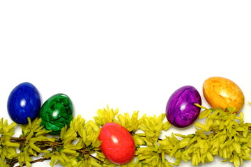 Ostereier mit gelben Blüten und Textraum