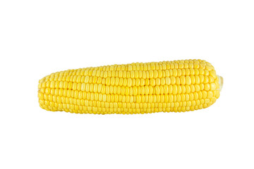 Sweet corn 1