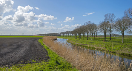Obraz premium Canal through a rural landscape in spring