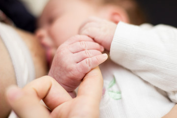  breastfeeding newborn baby © mitarart