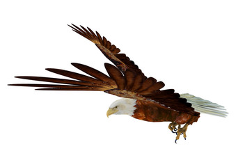 Eagle