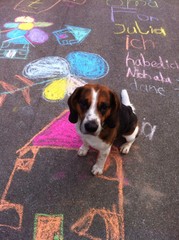 Kinder & Hund