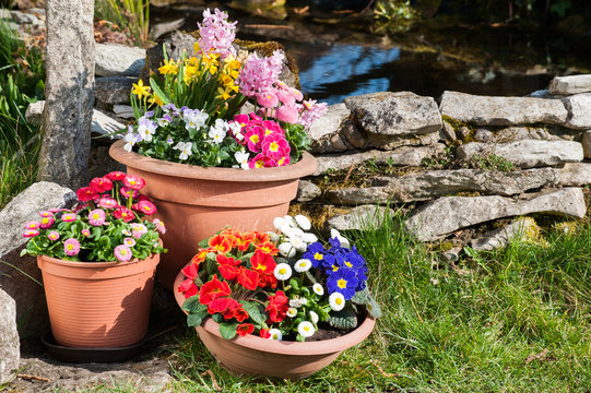 Fr&uuml;hlingsblumen