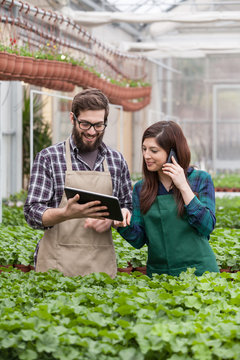 male and female in apron using digital tablet at greenhouse