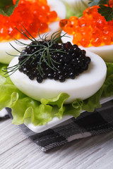 eggs with red and black fish caviar and lettuce
