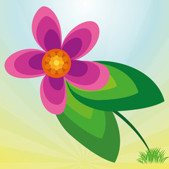 Fototapeta na wymiar Stylish Colorful Pink Flower On Background