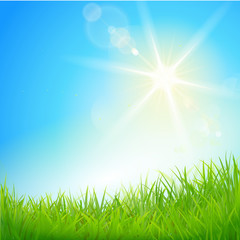 Fototapeta na wymiar Rasen mit strahlender Sonne