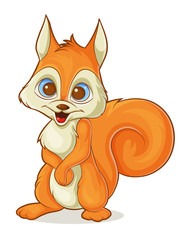 orange squirrel