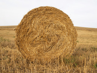 Balls of straw