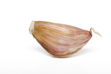 garlic bulbs isolated 