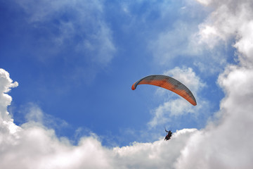 paraglider