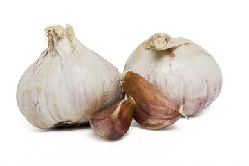 garlic bulbs isolated 