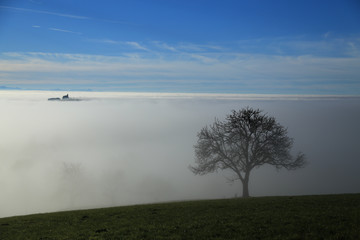 Obraz na płótnie Canvas Im Nebel